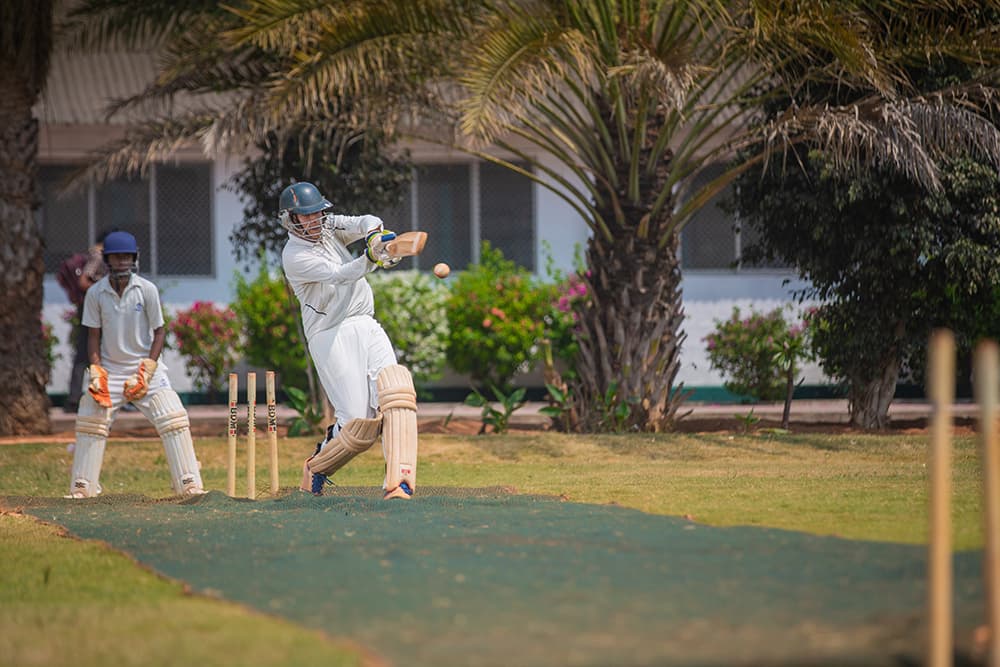 Cricket